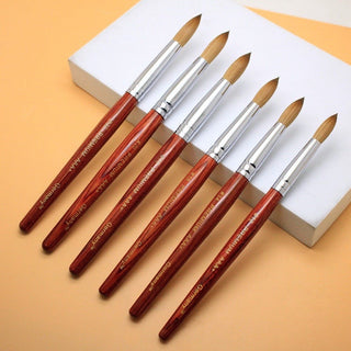PREMIUM AAA+ Germany Brush by PHONG TRAN SIZE 14