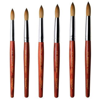 PREMIUM AAA+ Germany Brush by PHONG TRAN SIZE 14