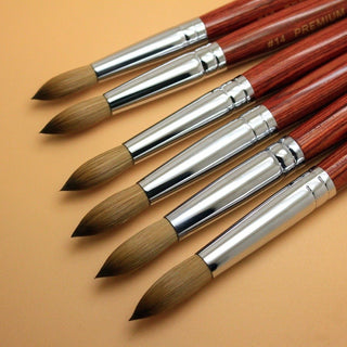 PREMIUM AAA+ Germany Brush by PHONG TRAN SIZE 14