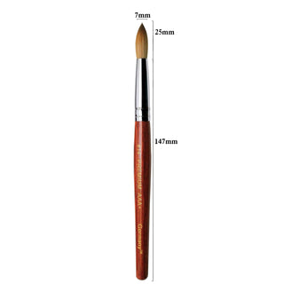 PREMIUM AAA+ Germany Brush by PHONG TRAN SIZE 14