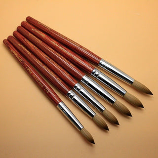 PREMIUM AAA+ Germany Brush by PHONG TRAN SIZE 14