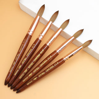 PREMIUM BRUSH AAA+ (SIZE 20)