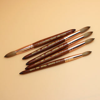 PREMIUM BRUSH AAA+ (SIZE 20)