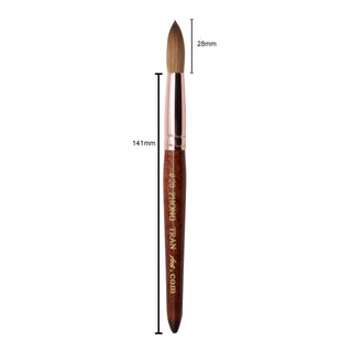 PREMIUM BRUSH AAA+ (SIZE 20)