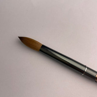 Tammy Brush